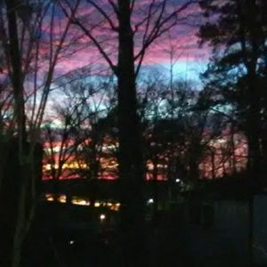 Meet your Posher, Cheyenne